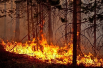 Постановлением Губернатора Амурской области в муниципальных образованиях Амурской области с 27 марта 2023 года введен особый противопожарный режим.